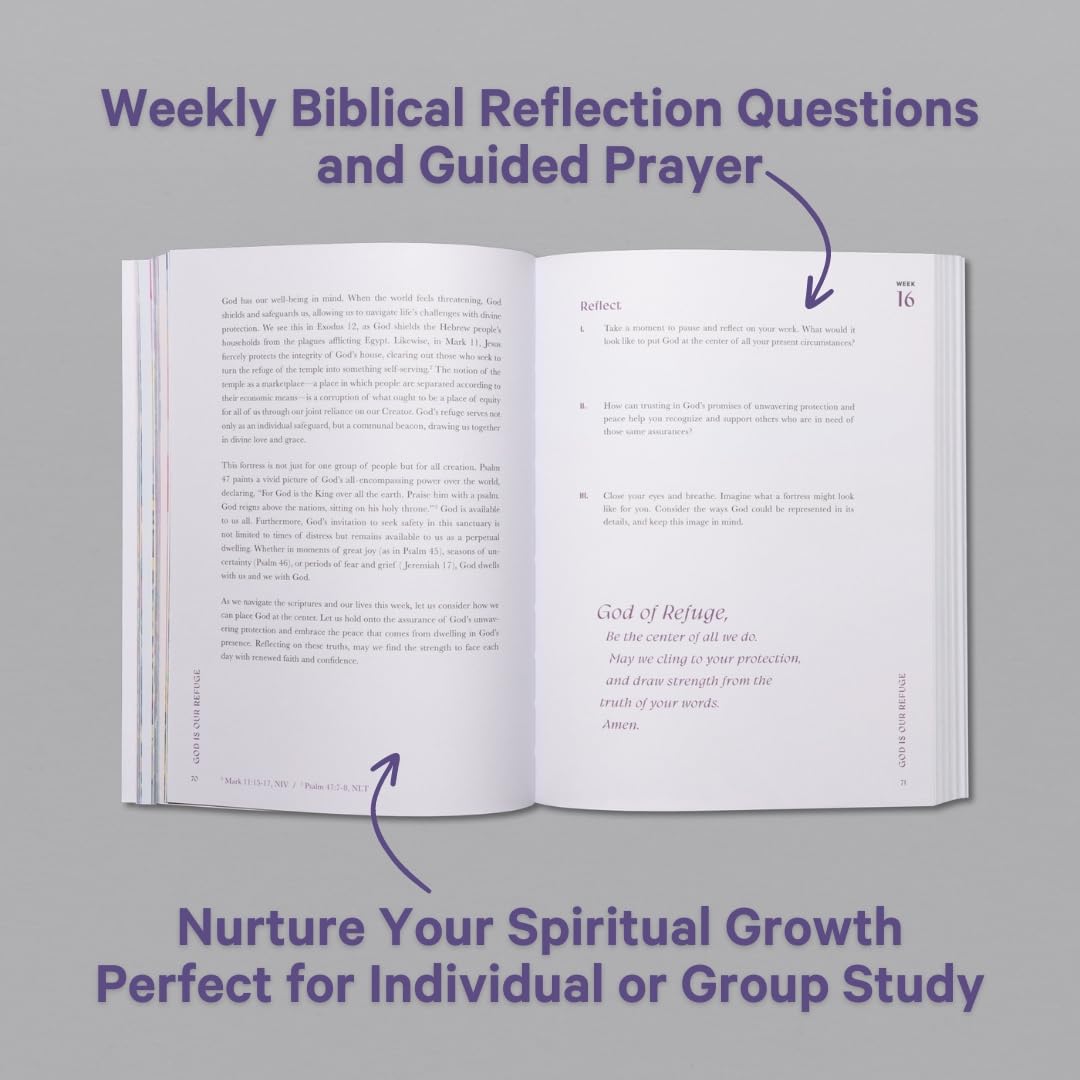 A Beautiful Year in the Bible: The 52-Week Bible Study for Women ? ? ? ? ? - Image 3