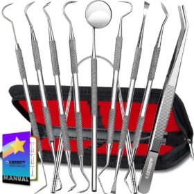 G.CATACC 10 Pack Dental Tools, Professional Plaque Remover for Teeth Cleaning Tools Set, Stainless Steel Hygiene Kit with Dental Picks Tooth Scraper Plaque Tartar Remover Tongue Cleaner - with Case                 