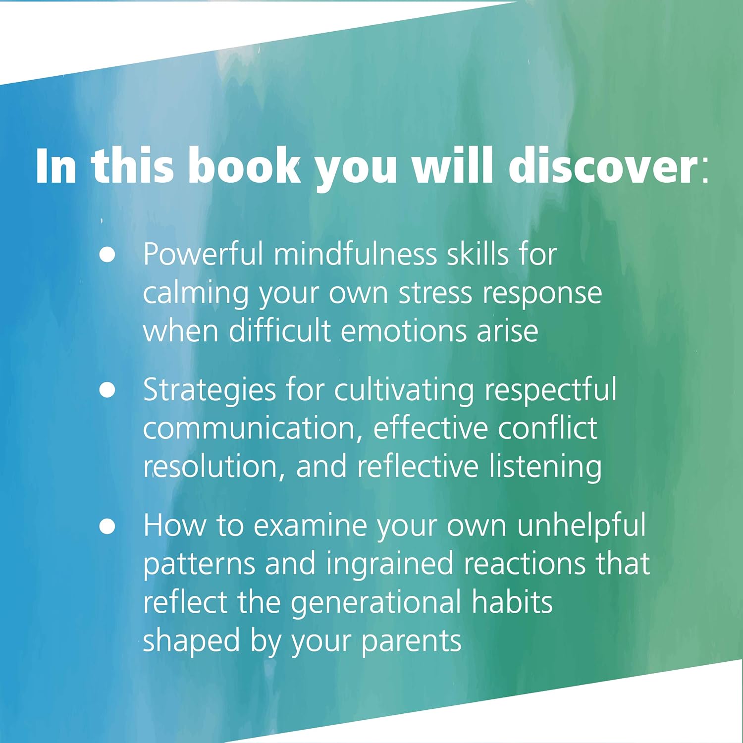 Raising Good Humans: A Mindful Guide to Breaking the Cycle of Reactive Parenting and Raising Kind, Confident Kids ? ? ? ? ? - Image 3