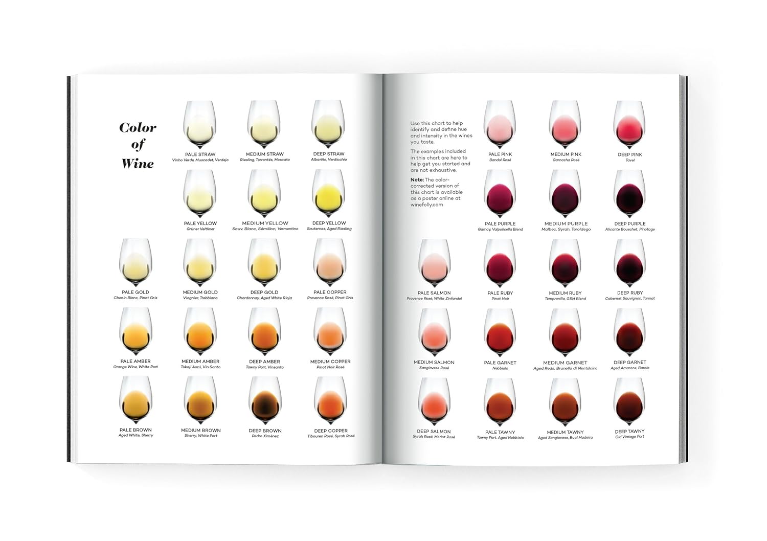 Wine Folly: Magnum Edition: The Master Guide ? ? ? ? ? - Image 6