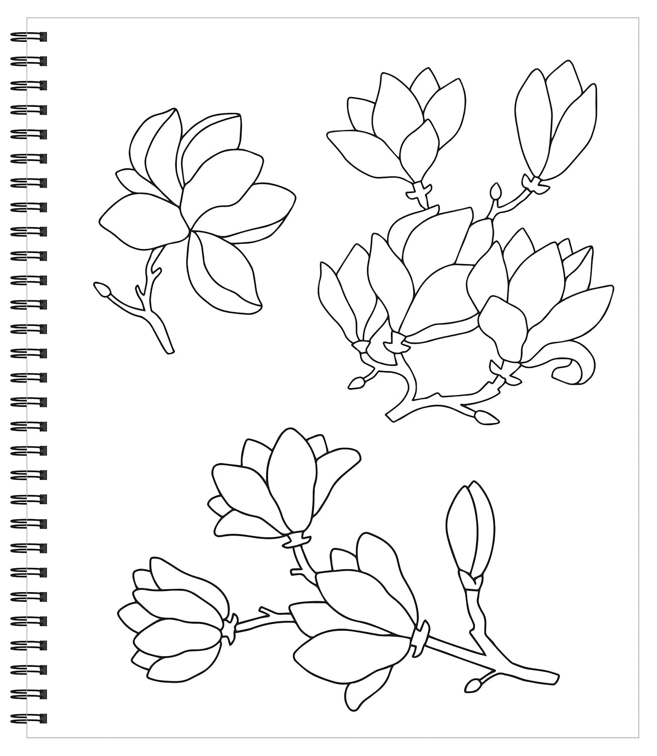 Large Print Easy Color & Frame - Calm (Stress Free Coloring Book) ? ? ? ? ? - Image 3