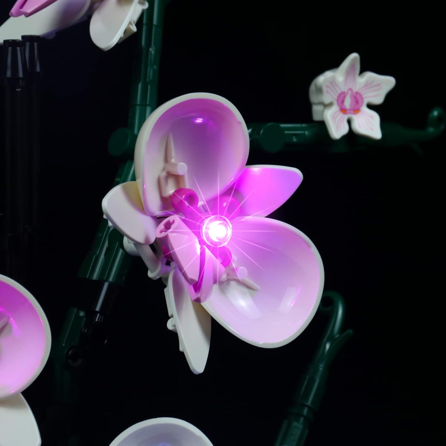 LED Light Kit for Lego Orchid 10311 Plant Decor Building Set; Decoration Lights Build a Succulents Display Piece for The Home or Office (Lights Only, No Lego Models) - Image 3